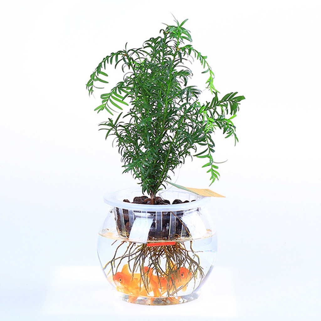 Bình Cắm Hoa Bằng Nhựa Trong Suốt Đa Năng Chất Lượng Cao