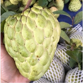 Mãng cầu thái