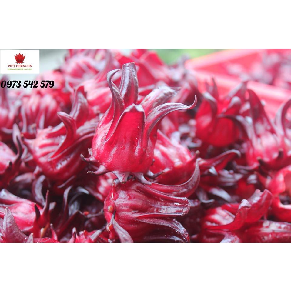 Combo 2 hộp mứt hoa hồng biếu tết | BigBuy360 - bigbuy360.vn