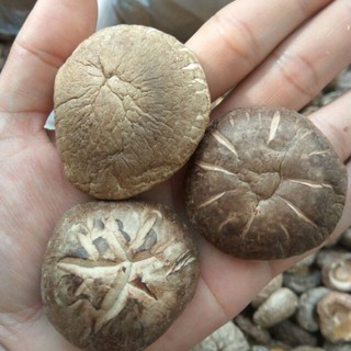 Nấm đông cô khô loại to dày thịt 100g