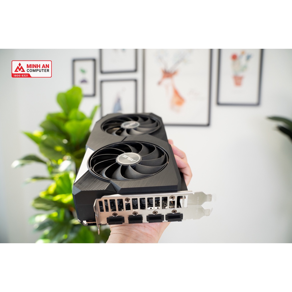 Card màn hình Asus Dual Radeon RX 6600 8GB (DUALRX66008G)