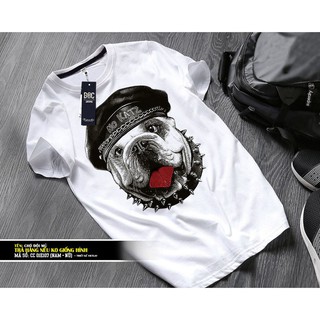 Áo thun cao cấp Chó đội mũ - 11