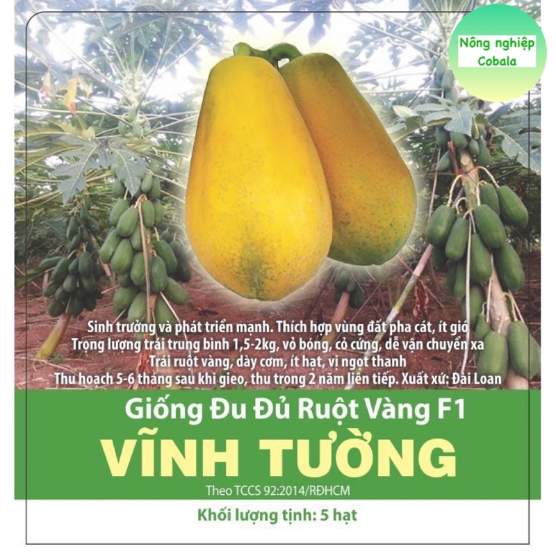 Hạt Giống Đu Đủ Ruột Vàng F1 (VĨNH TƯỜNG) Gói 5 Hạt