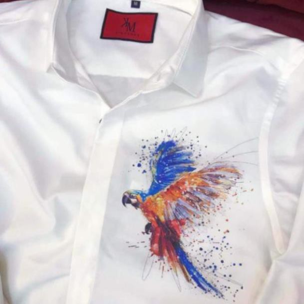 Áo sơ mi kate lụa Hot rần rần làm khuynh đảo giới trẻ siêu sang của kmg