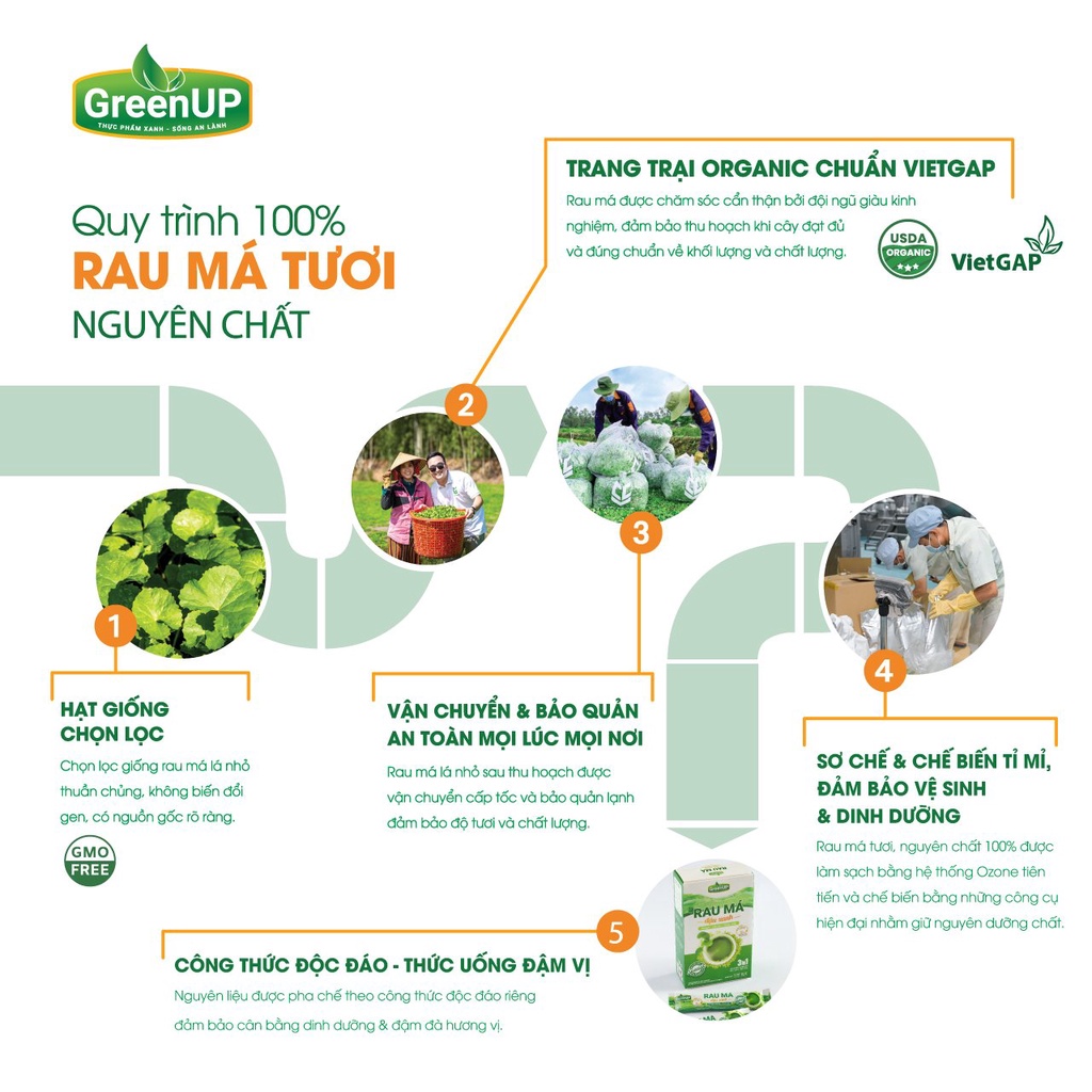 Combo 2 Hộp Bột Rau Má Đậu Xanh GreenUP - Rau Má Uống Liền- Giải Rượu & Thanh Lọc Cơ Thể- RMDXH02