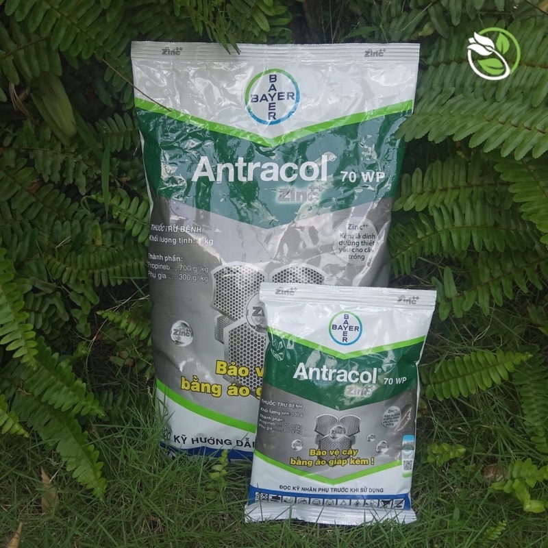 trừ bệnh Antracol (goi 1kg)