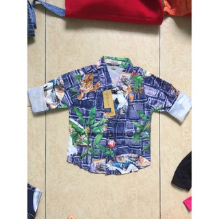 sơ mi lụa tay dài 3d hàng zara