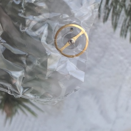 Vành Tóc Citizen 8200 Thay Thế Cho Đồng Hồ Cơ