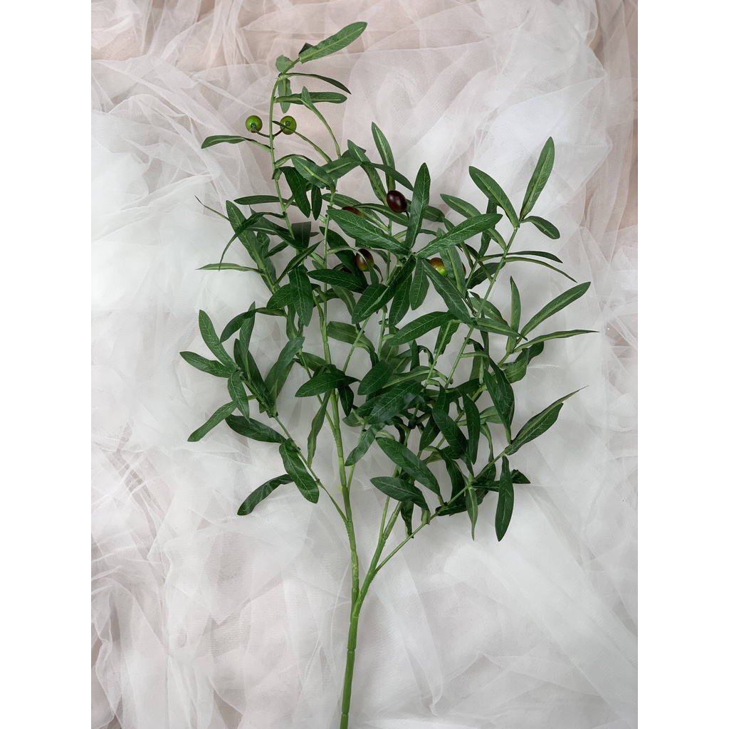 CÀNH OLIVE, cành OLiu ; Hoa trang trí Anthinh Decor