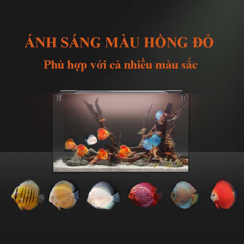 Đèn bể cá đĩa JIYIN 56cm-116cm