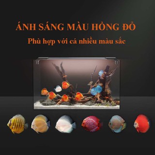 Đèn bể cá đĩa JIYIN 56cm-116cm