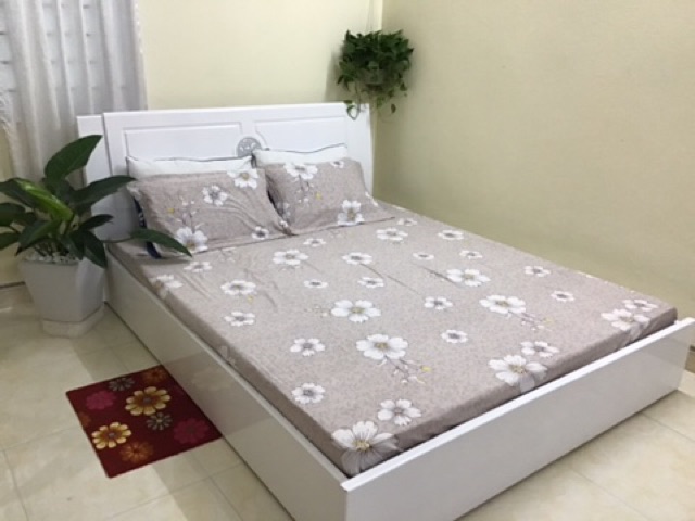 Ga chun  + 2 vỏ gối đầu cotton đũi m6 m8 | BigBuy360 - bigbuy360.vn