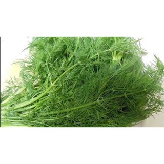 Hạt giống rau  thì là