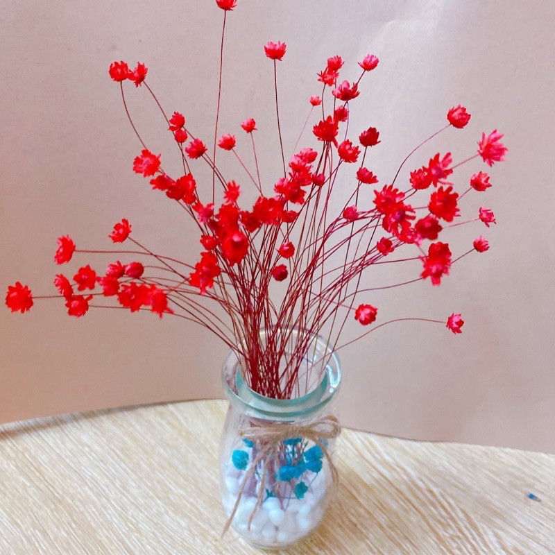 Lọ hoa khô ❤️Lọ hoa mini tuyết nhiệt đới/Glixia ❤️ decor nhà cửa, quà tặng