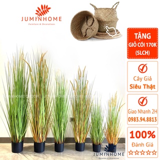 Cây giả, cỏ bông lau giả, hoa cỏ lau khô - Cây giả decor trang trí nhà cửa nội thất phòng khách phòng ngủ