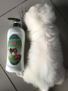 Sữa tắm chó mèo One 4 sao