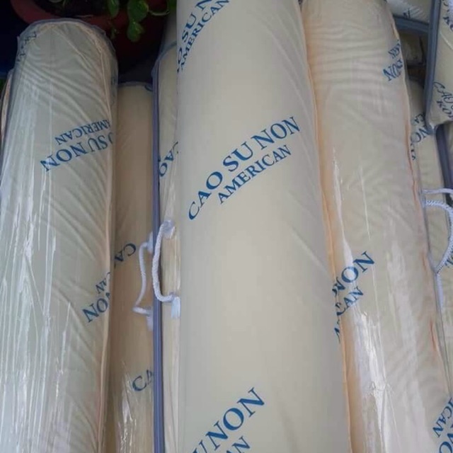 GỐI ÔM CAO SU NON AMERICAN 35X100CM hàng chuẩn xịn