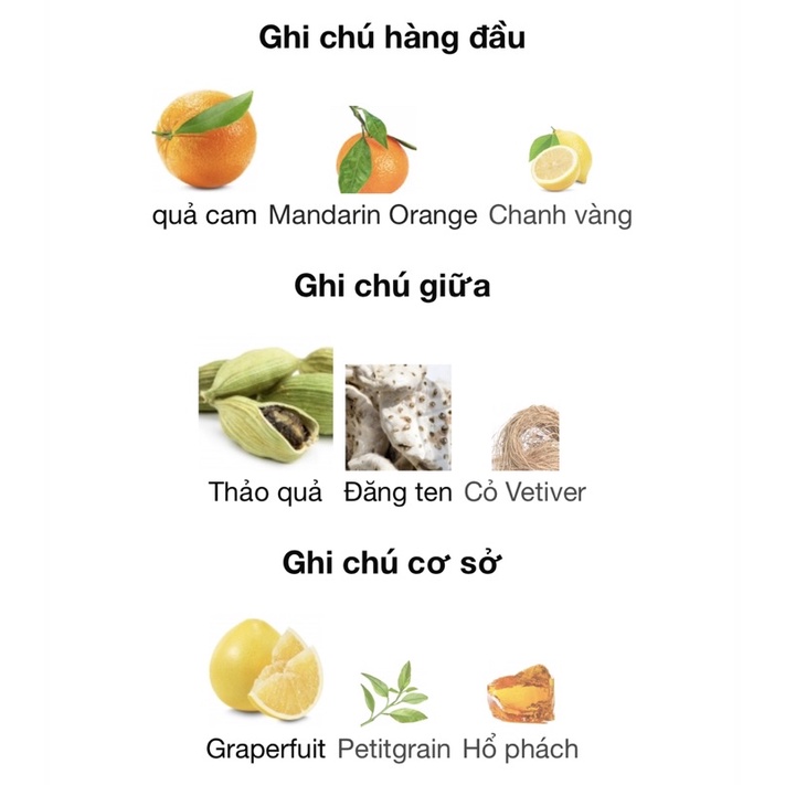 Nước hoa nam Zara 9.0 summer 100ml