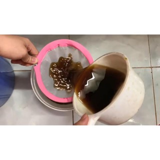 Comno 10 LÁ BÀNG KHÔ - THẦN DƯỢC CÁ CẢNH