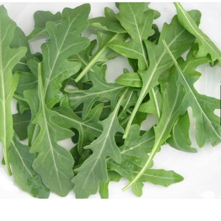 Hạt giống rau Rocket