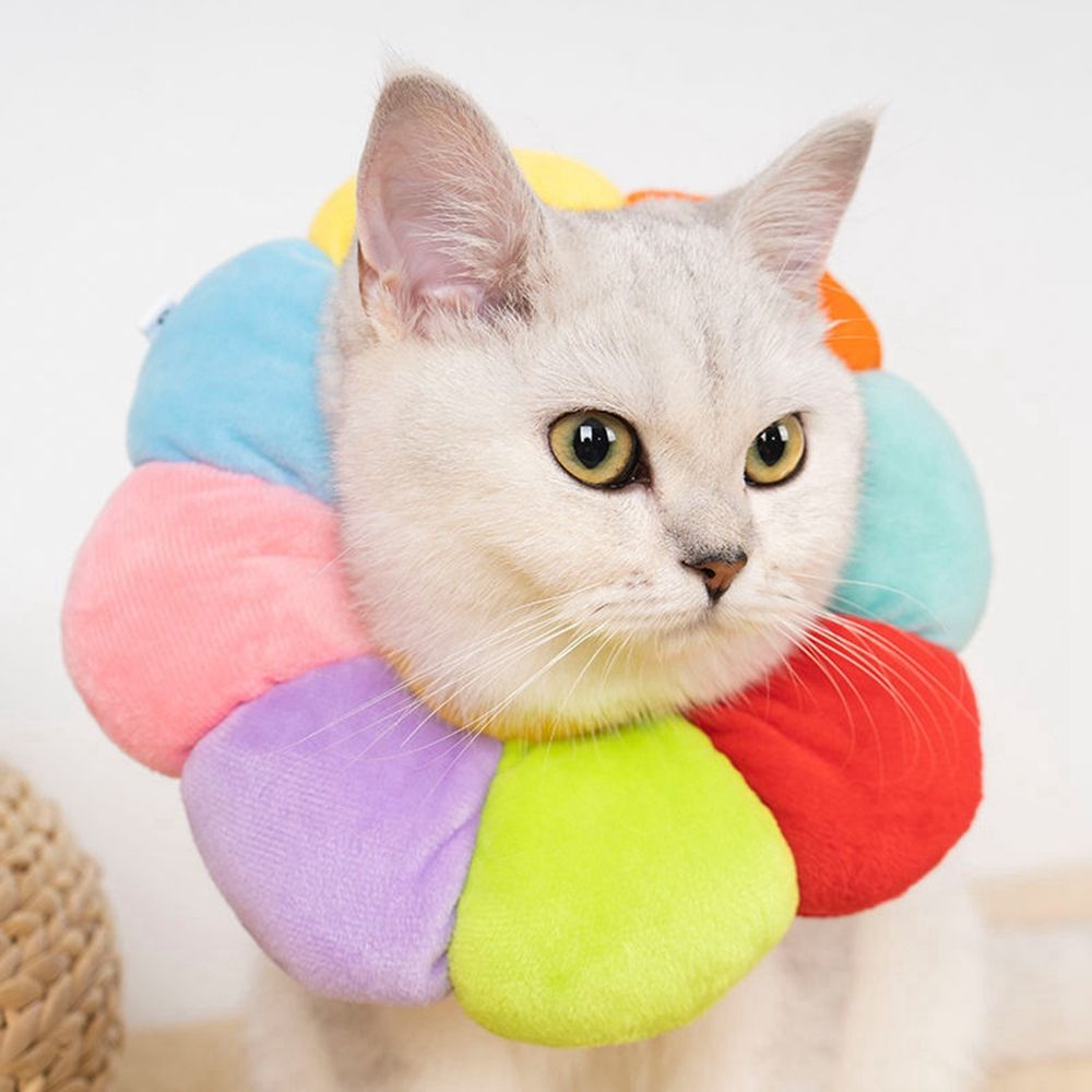 YIYU 1 vòng cổ bằng cotton mềm nhiều màu sắc chống liếm cho thú cưng