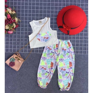 Combo 4 bộ alibaba