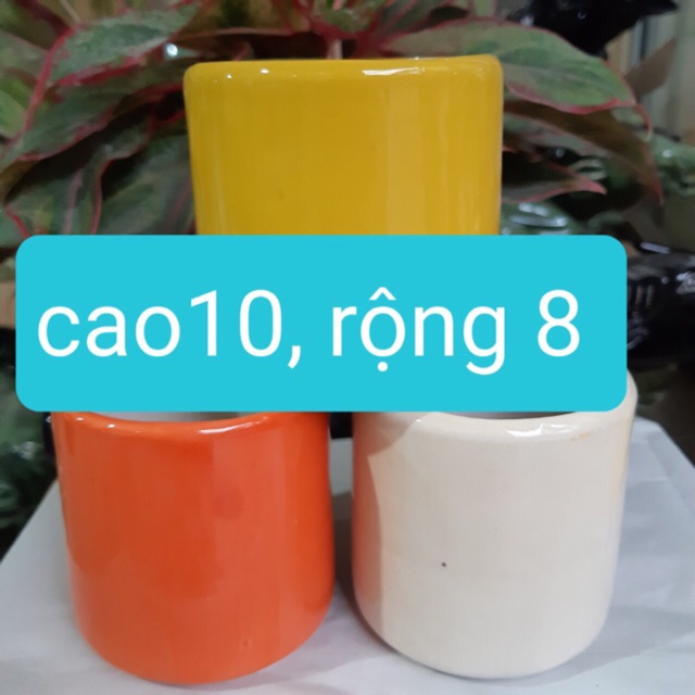 Combo 3c Chậu trồng cây, cắm hoa mini sứ Bát Tràng