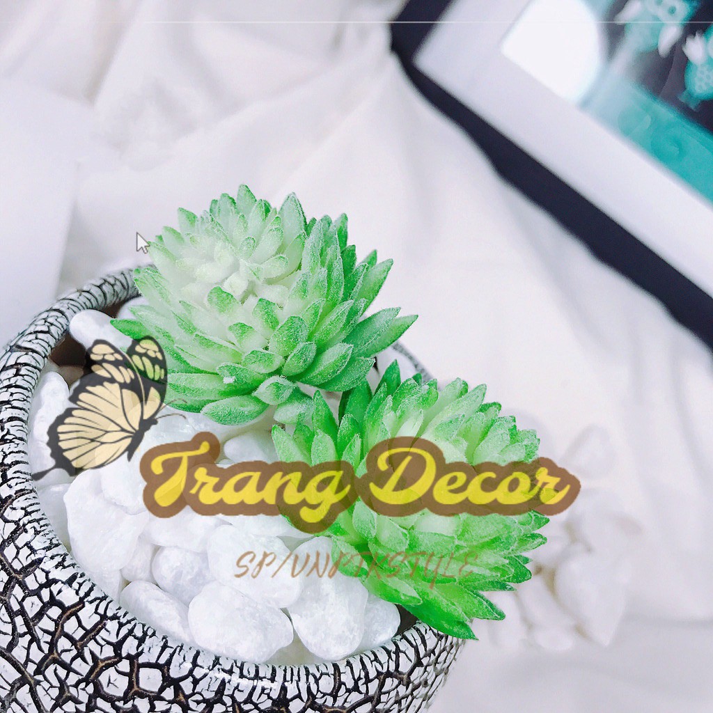Đá sỏi trắng trang trí cỡ trung