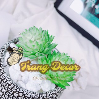 Đá sỏi trắng trang trí cỡ trung