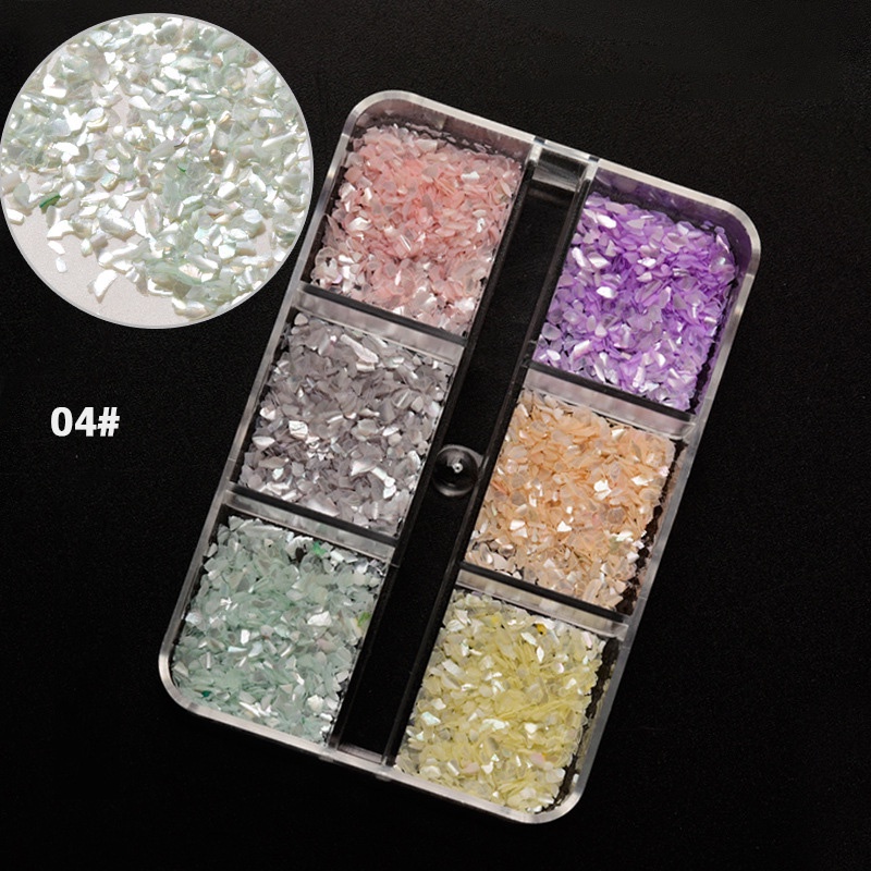 Hộp Đá Vỏ Sò 3D Nhiều Màu Sắc Dùng Trang Trí Móng Tay 6 Girds
