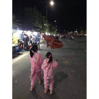Bộ quần áo khủng long ( chọn màu ib)