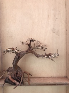 Bonsai 26x23 cho hồ cá thuỷ sinh