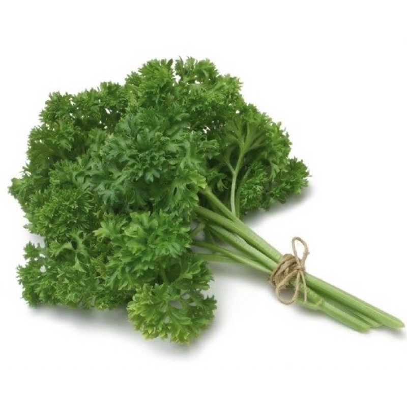 Cành Parsley Ngò Tây tươi gia vị nấu ăn món tây