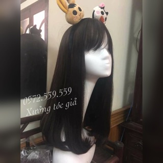 Tóc giả nguyên đầu thẳng cúp tặng lược + lưới