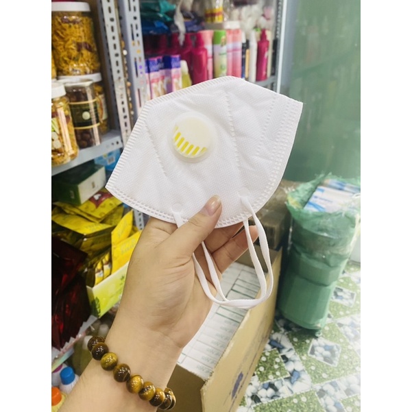 Khẩu Trang N95 có Van hộp 10 cái