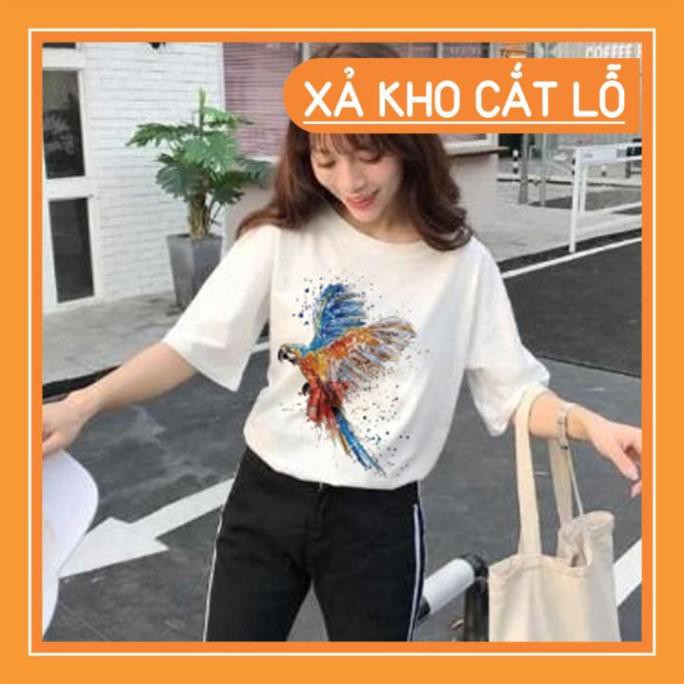 Follow Shop Săn Deal Hot Ngày 1/1 Áo Thun Nữ In Đại Bàng 3D Siêu Đẹp ATN3413 ྇
