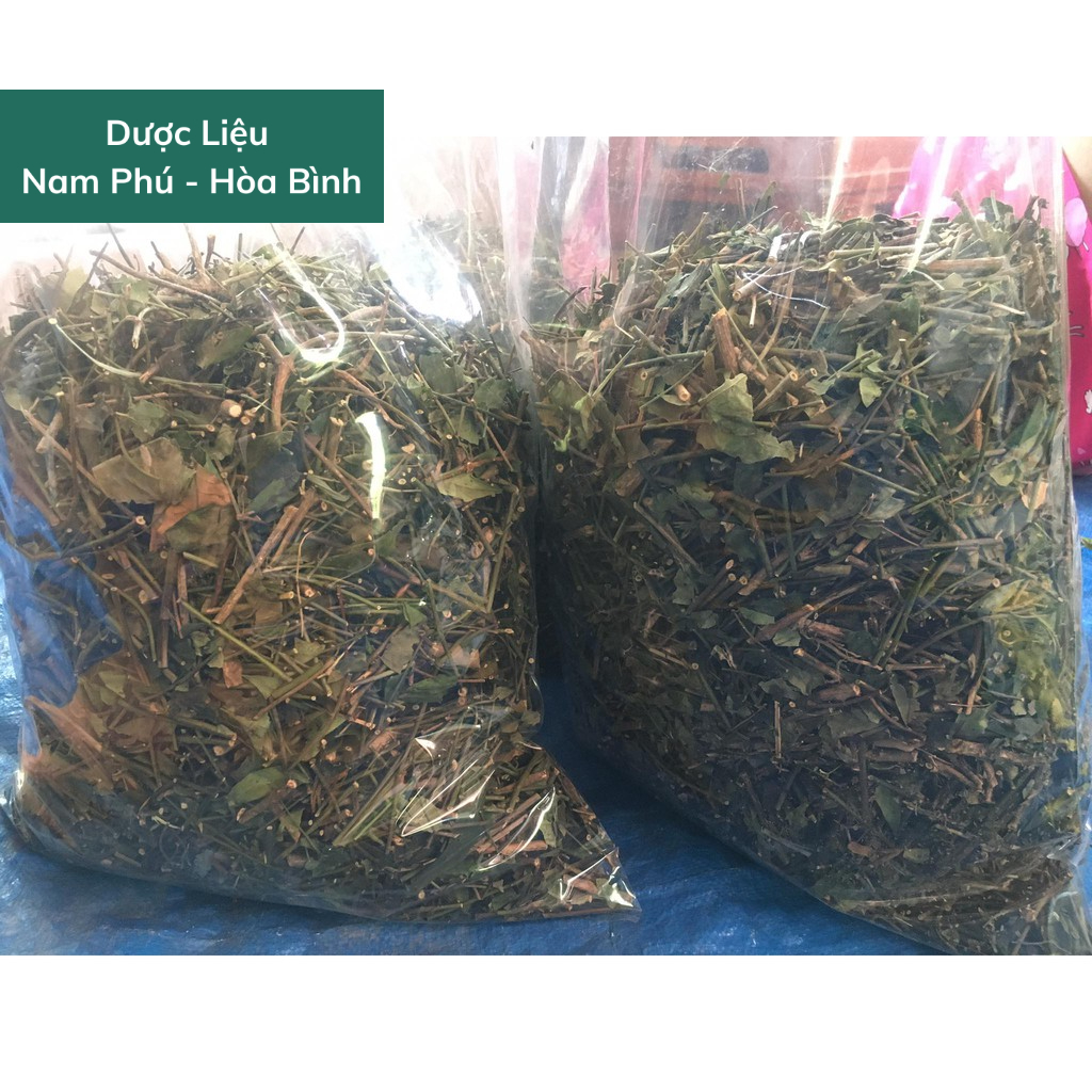 1Kg Chè Vằng Sẻ lợi sữa - Trà Vằng Sẻ cho mẹ sau sinh - xanh, sạch, thơm mới - giá sỉ