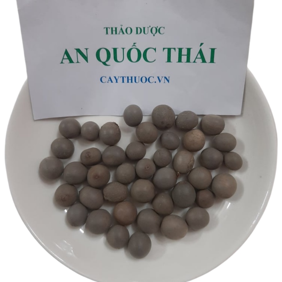 500g Trái Mắt Mèo (Hạt Móc Mèo, Hột Mắt Mèo) Tốt Cho Người Bướu Cổ, U Bướu