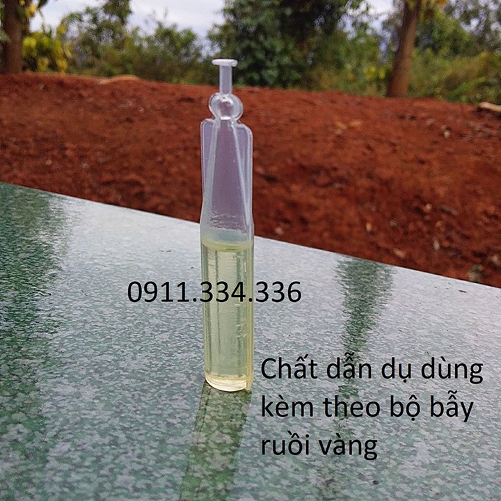 10 Lọ Chất Dẫn Dụ Bẫy Ruồi Vàng