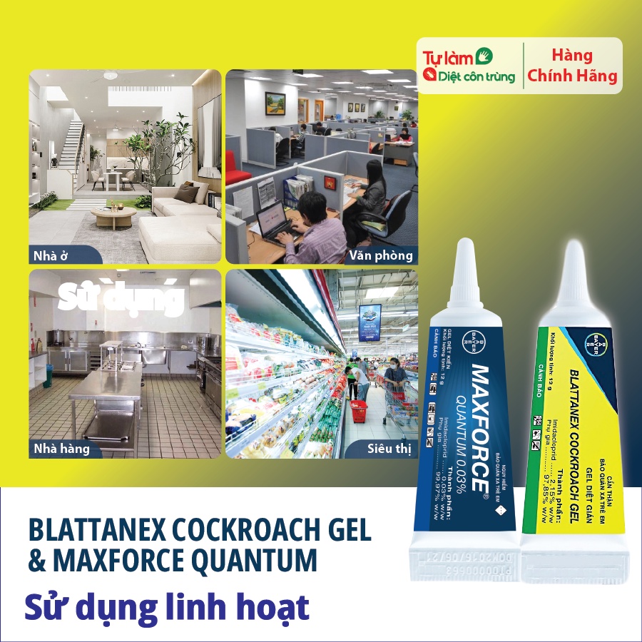 Maxforce Quantum Vs Blattanex Cockroch Gel, Tiết Kiệm Hơn