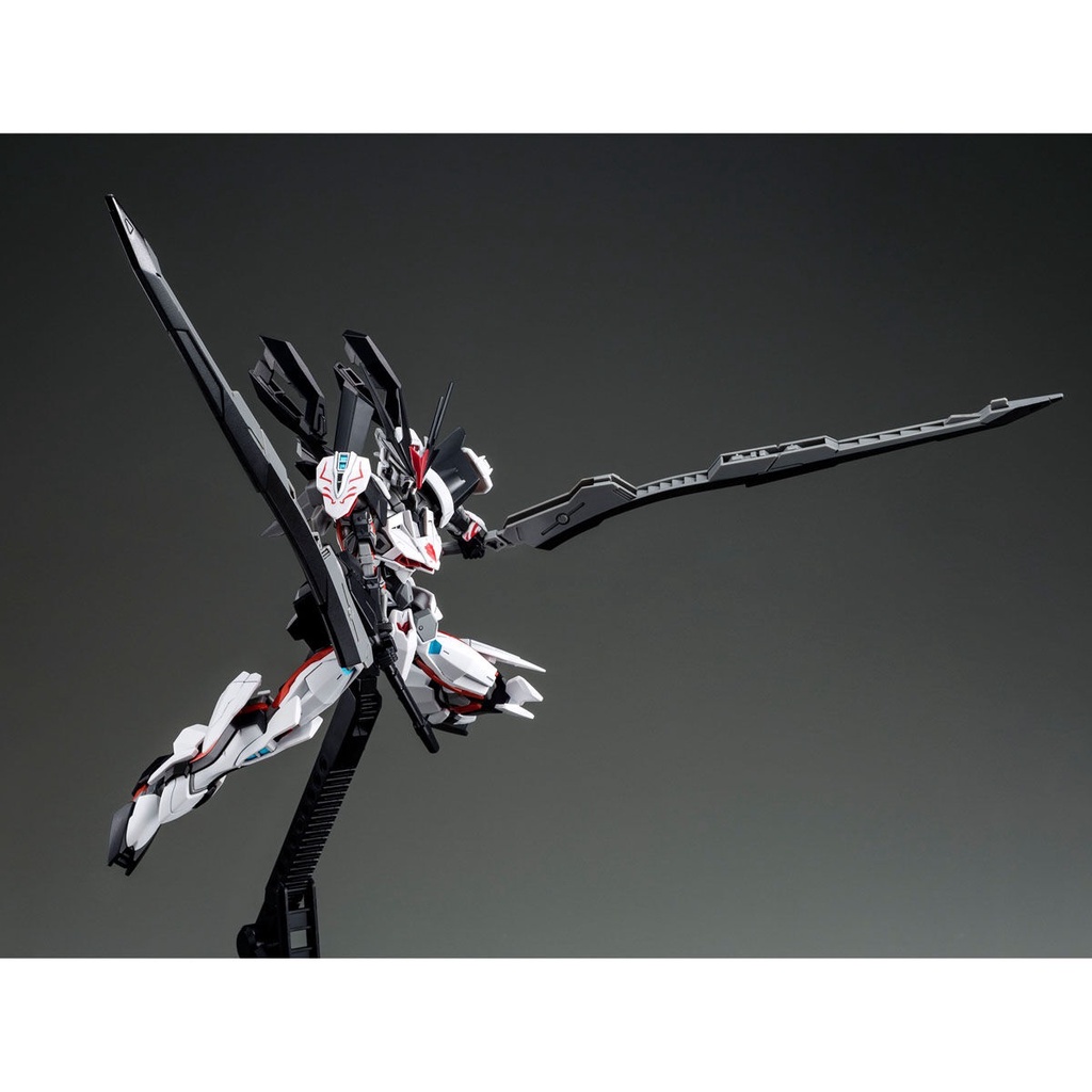 Mô hình phiên bản giới hạn HGCE HG P-Bandai Load Astray Omega Ω