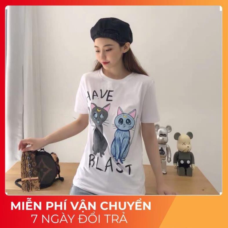 Áo Phông Nữ Hình Mèo 3D , Cộc Tay Cotton Túi Zip 3 Màu Q018