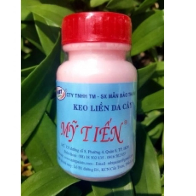 Keo liền sẹo Mỹ Tiến