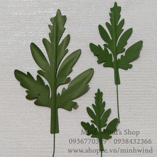 Set 100 Lá Cúc Đồng Tiền 3 Size To Nhỏ Cắt Sẵn