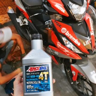 Combo 2 chai Amsoil 4T 10w40