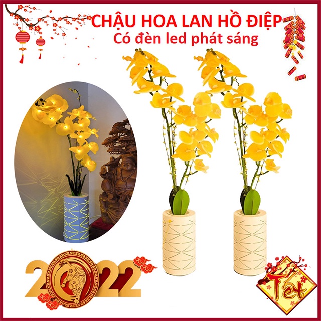 hoa khô trang trí phòng khách , phòng ngủ . trang trí nơi làm việc để bàn , quà tặng tết ...