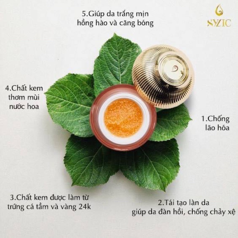 Kem trứng cá tầm dưỡng da ban đêm hàn quốc
