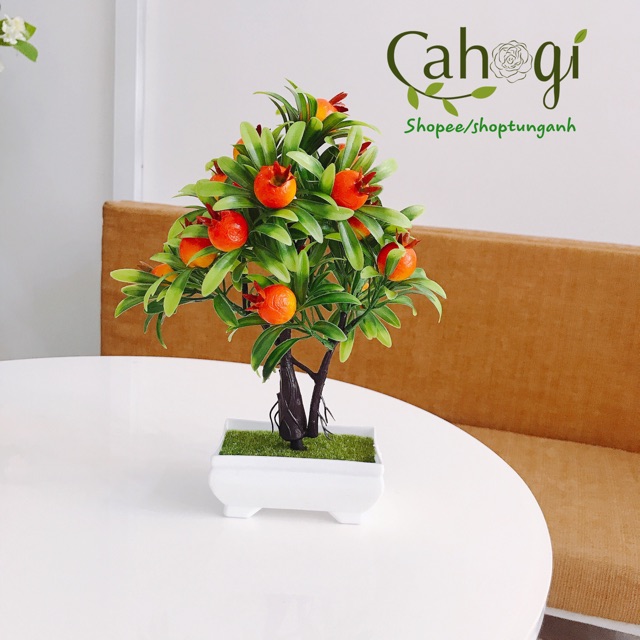 Cây Giả - Chậu Cây Lựu Bonsai để bàn