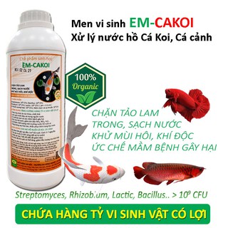  Men vi sinh hồ Cá Koi Cá Cảnh - Xử lý nước trong sạch - Chặn Tảo lam - Khử mùi hôi - EM-CAKOI - 100% lên men Tự Nhiên 