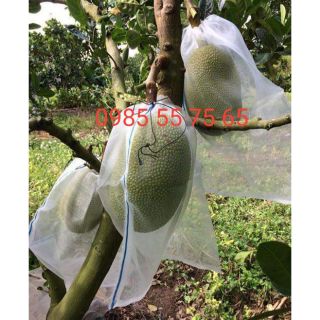 100 túi lưới bao mít có dây rút lớn